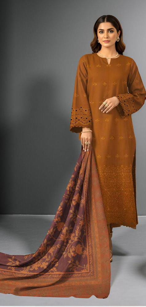3-piece Khaddar Embroidered suit